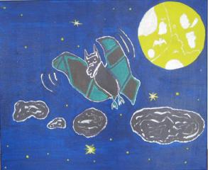 Fledermaus Fledermaus
